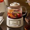 OIDIRE Smart Multifunctional Tea Kettle with Glass Stew Pot CN plug (adapter included)