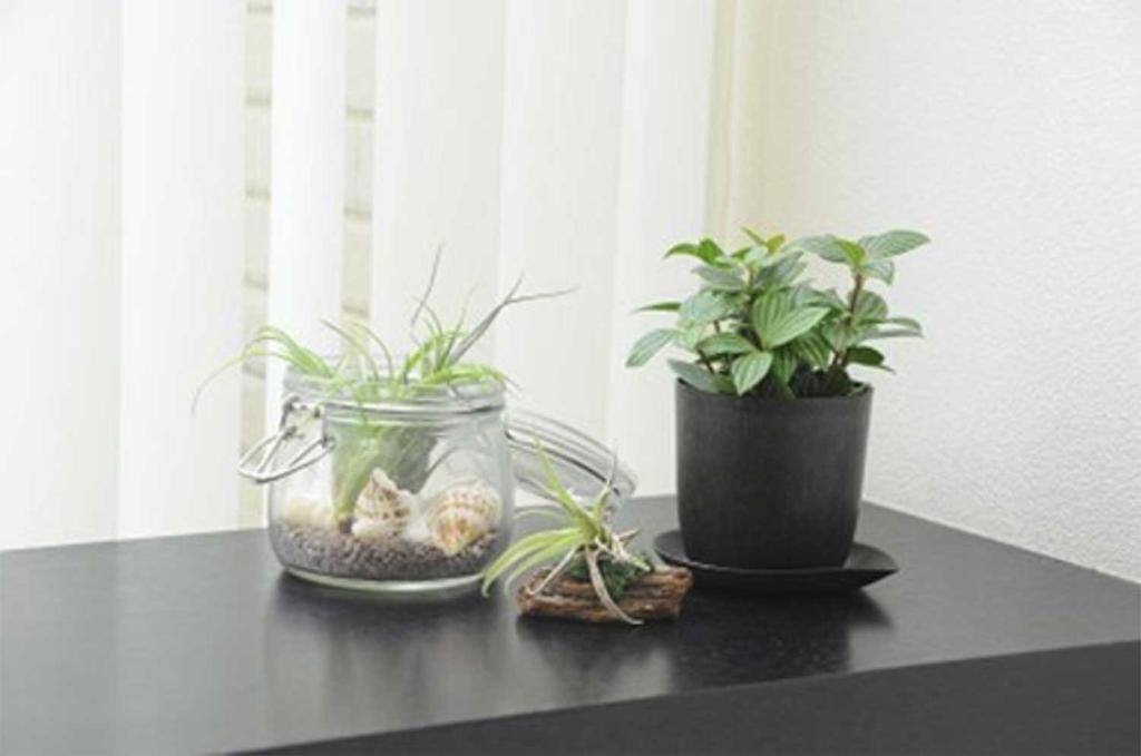 Daiwa Plastic PON De Eco Pot No. 3 White