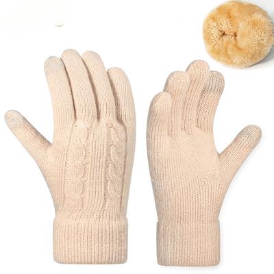 Knitted Gloves for Women In Winter  Double Layer Plus Velvet Thickened Cold Proof Jacquard Outdoor Riding Warm Touch Screen Gloves