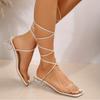 Women's Strapping Sandals High Heels Square Heels Caligae 2024 Elegant Woman Heeled Shoes