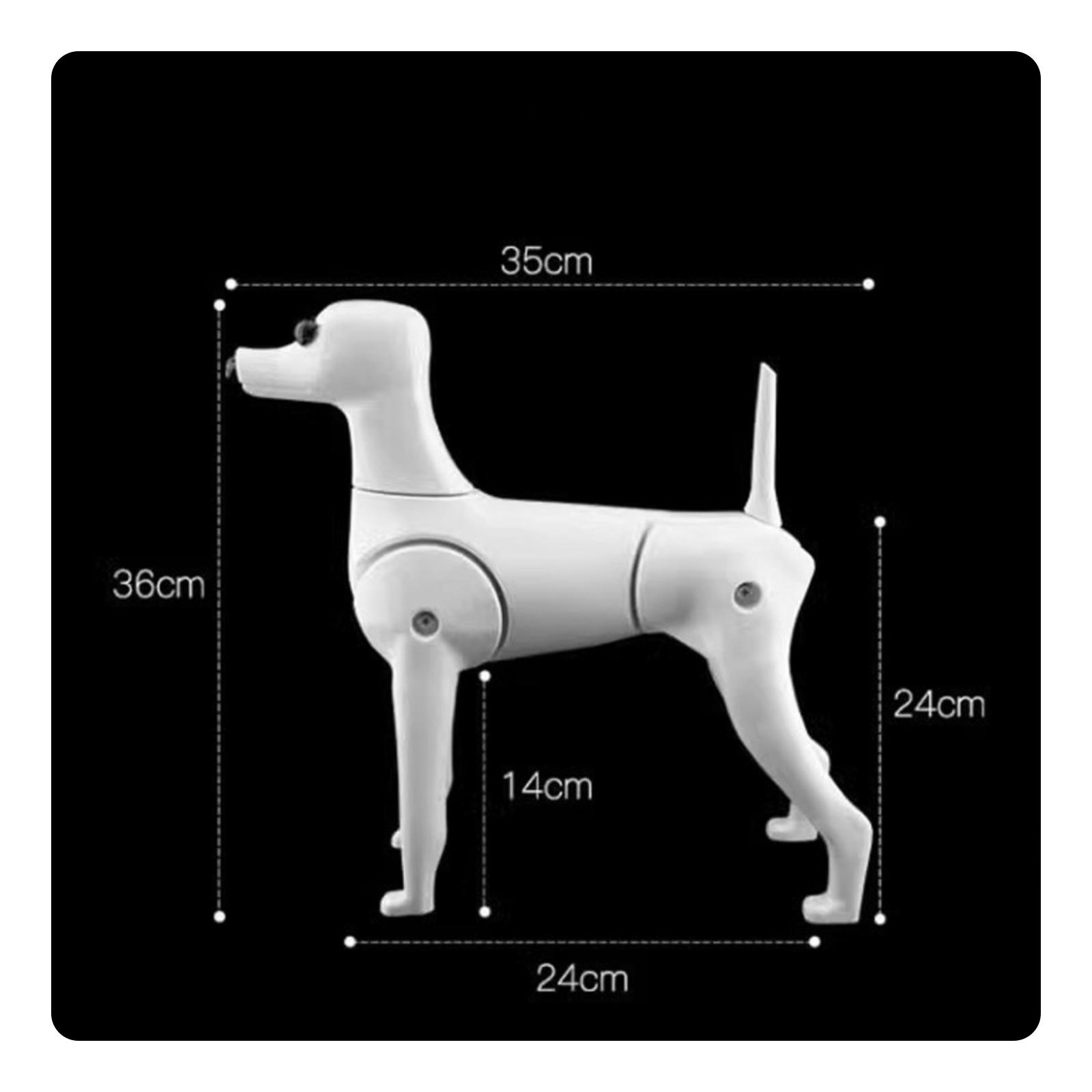 Dog Grooming Practice Mannequin Realistic Skeleton