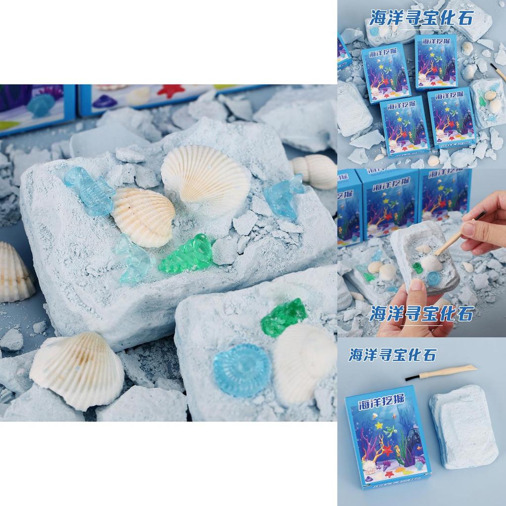 Ocean Treasure Fossil Discovery Kit With Diy Shells For Children Educational Gift