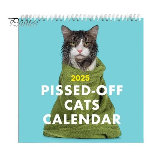 

Календарь Pissed-Off Cats на 2025 год. Забавный календарь с изображением кошек. Уникальный настенный календарь. Ежедневный планировщик расписания для домашнего офиса. A