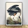 Vintage Bird Prints Retro Animal Art Natural History Canvas Paintings HD Pictures Wall Art For Living Room Home Decor Frameless