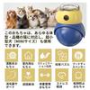 LLiKZio Cat Toy, Solitaire Play, Cat Ball, Moving Toy, Owl-Shaped Rising Educational Toy, Treat Dispenser with Adjustable Treat Dispensing Holes,