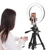 Portable Desktop & Floor Standing Tripod with Ring Light for Live Streaming & Photography