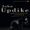 The Witches of Eastwick by John Updike Paperback Book 9780141188973