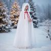 Mesh Hooded Cloak Robe Mrs Santa Clauses Costume Cape Halloween Christmas Costumes for Women Girls Wizard Robe Gifts