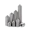 Bairuite 316 Stainless Steel Cone Point Hex Socket Set Screw