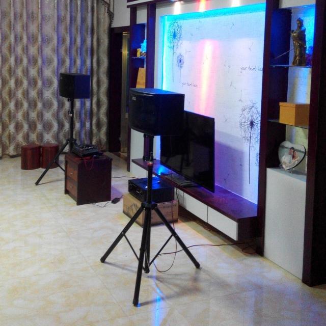 Professional Metal Speaker Stand for 12-15 Inch Speakers, Home KTV, Stage, and Conference Tripod Support.