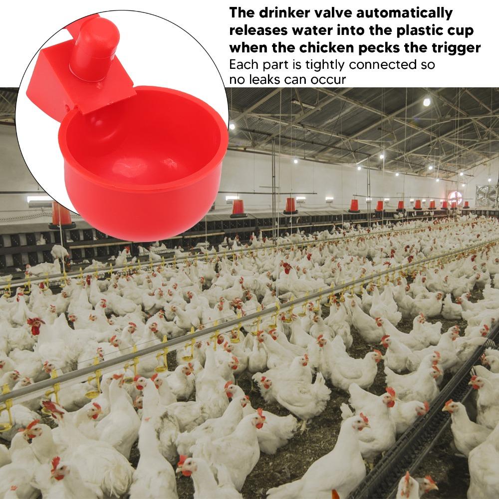 10 Sets Durable Automatic Chicken Water Cups PP Poultry Drinking Bowl For Quails