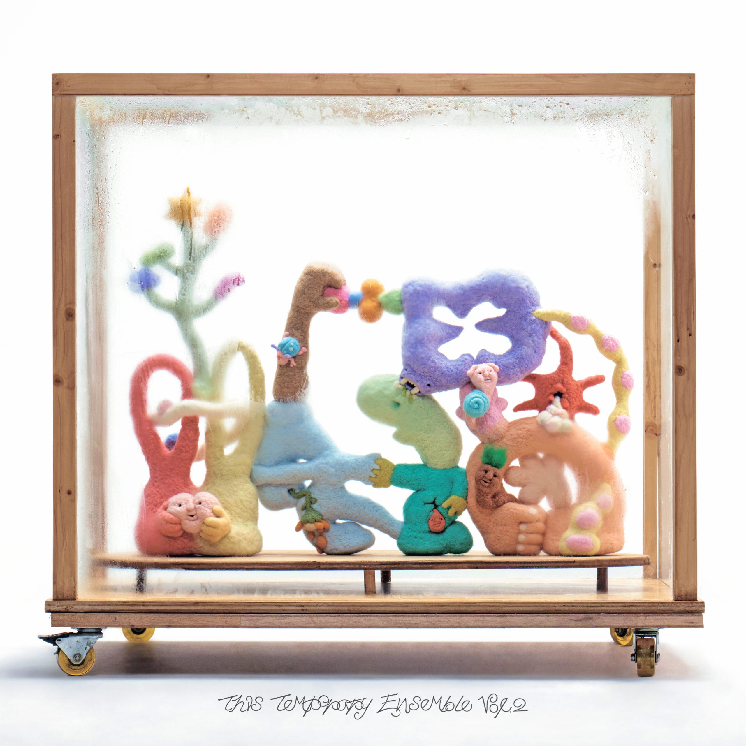 

LP Record 9M88 This Temporary Ensemble Vol.2 PLP8269 PVINE 2025 Japan SoulFunk