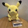 Fit Center Pikachu Plush Toy Pokémon Pokémon