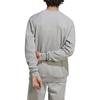 Adidas Originals ADICOLOR CLASSICS TREFOIL Sweatshirt Men's Gray IA4857