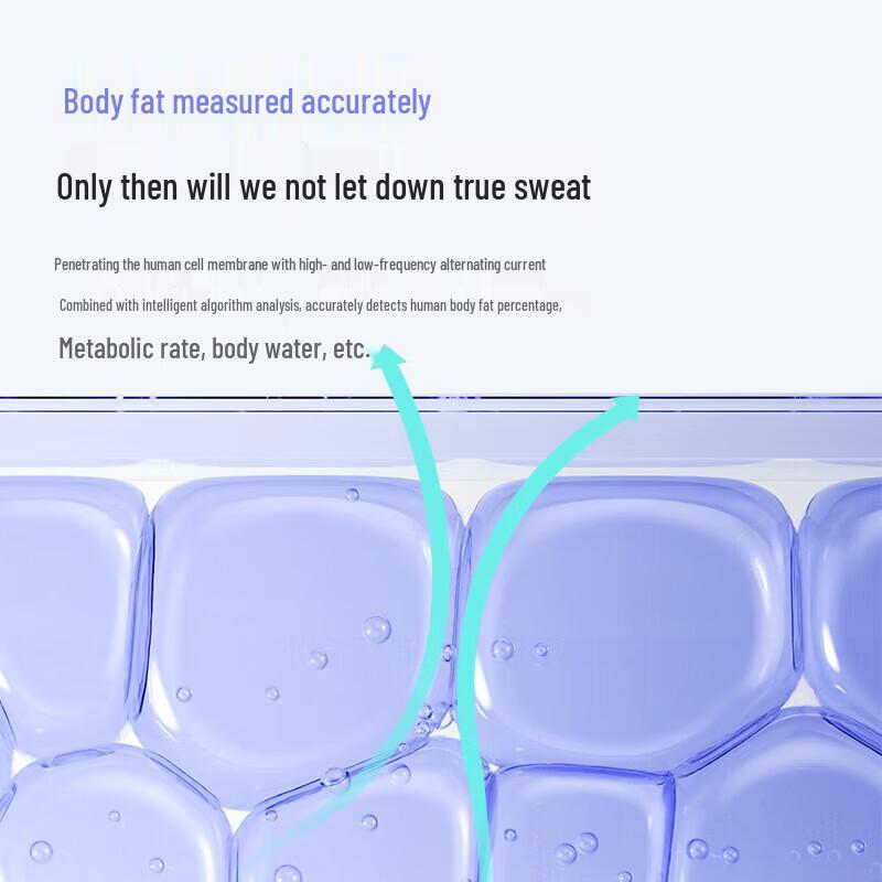 Bear Bluetooth Smart Body Fat Scale