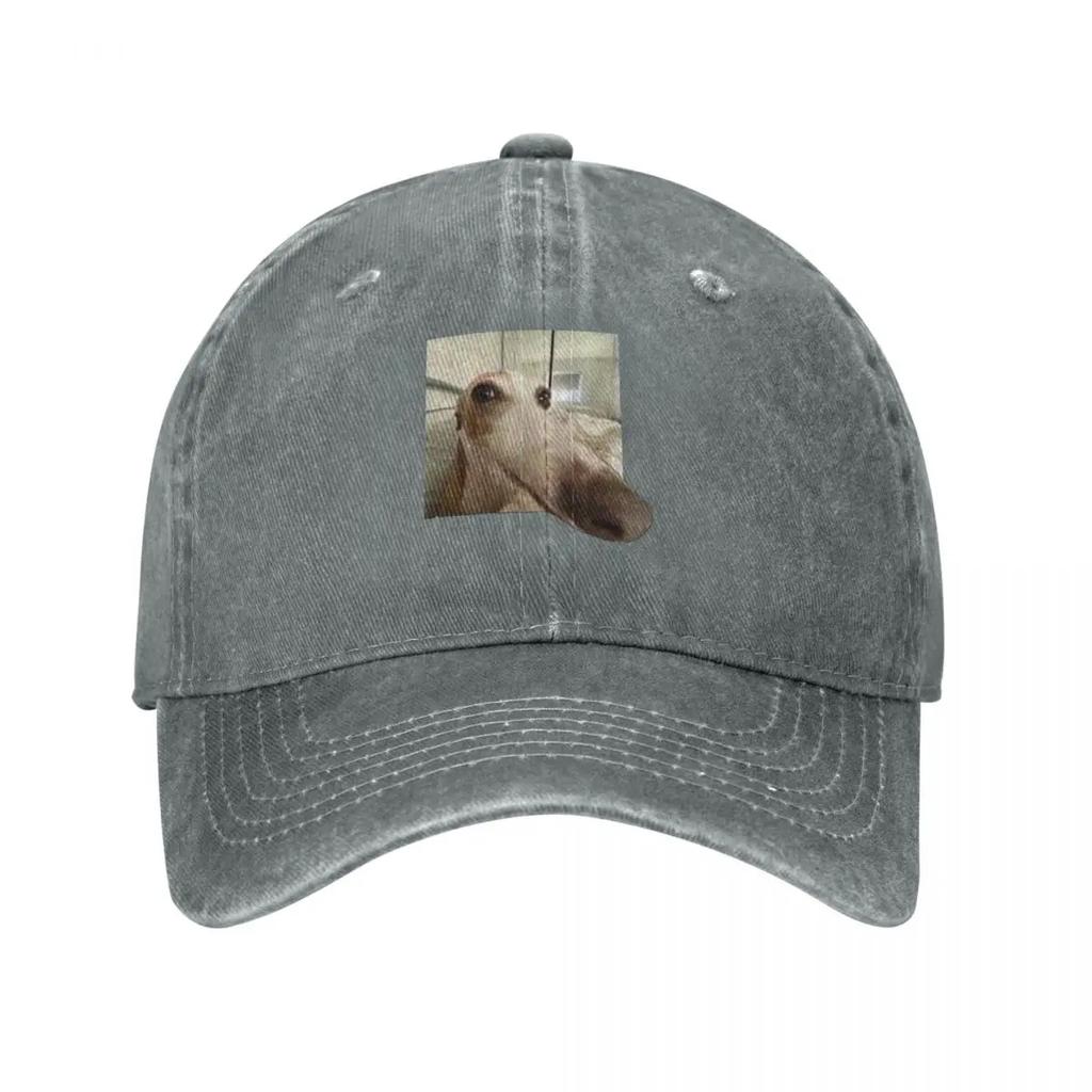 Funny Dog Baseball Cap hats on offer New In Hat Winter hat designer cap For Women Unisexs