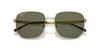 Sunglasses RB3713D ARISTA GREEN POLAR Lens 57 [Ray-Ban] Frame/DARK