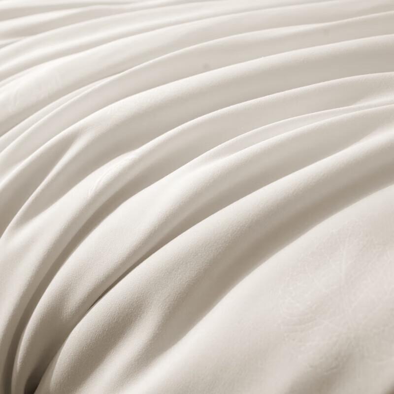 Muxinzi Brushed Silk Summer Quilt