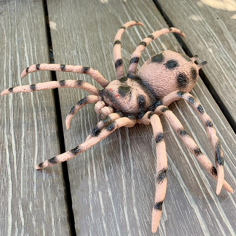Large sized insect animal simulation model, spider, locust, scorpion, ant, unicorn fairy, children's educational cognitive ornam