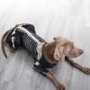 Dog Skeleton Halloween Costume Apparel Comfortable Decoration Cosplay Outfit Pet for Party