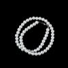 Women White Cultured Strand Freshwater Necklace Pearl 7-8mm
