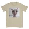 Funny James Cat Meme Pure Cotton T-Shirt For Man Summer Cute  Classic T Shirts Round Neck Harajuku Tee Shirt Oversized Loose