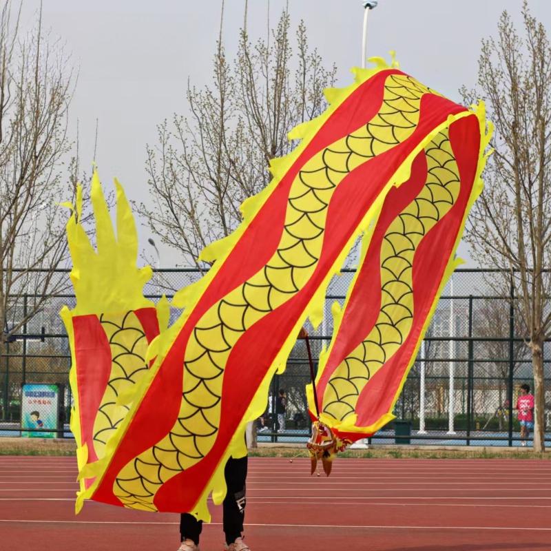 Dragon Dance Ribbon with Head Chinese New Year Gift Festival Performance Props Outdoor Fitness Wu Long Products