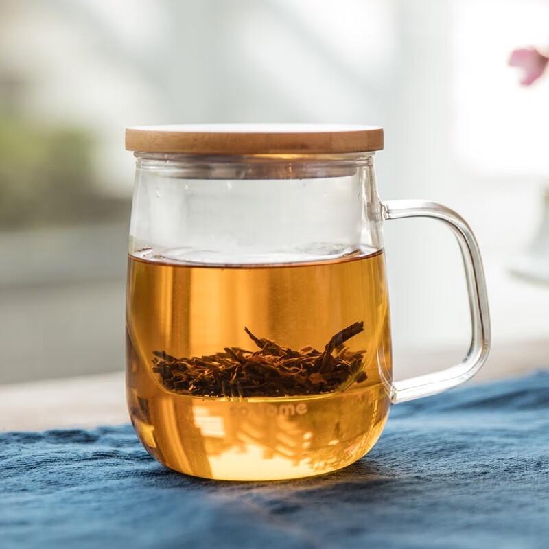 Sohome Double-Layer Tea Infuser Glass Bottle