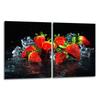 2x GLASS PROTECTIVE PLATE FOR STOVE 40x52 FRUIT