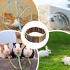Hamster Bridge Wooden Bendable Small Animal Fence Hamster Ladder Bridge for Mouse Chinchilla Reptile Sugar Glider Gerbil