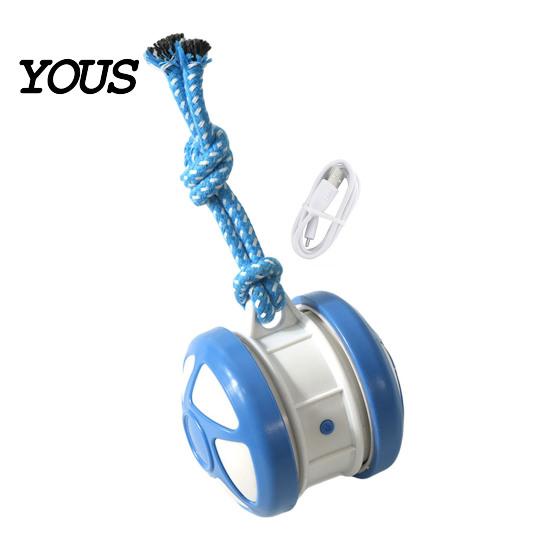 Electronic Pet Exerciser for Home Electric Automatic Rolling Dog Ball Toy, Motion-Activated Random Path Moving Toy with Autonomous Dogs Rope,