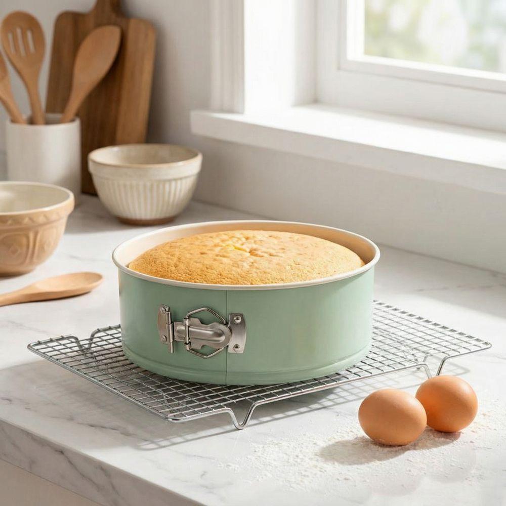 Removable Bottom Springform Cake Pan Carbon Steel Cake Mold Baking Tools  Bakeware Accessories