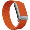 Whoop 5.0 Peak Nylon Sport Band with Frosted Silver Frame