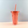 1PC 450ml Plastic Straw Cup Double Layer Transparent Drinking Cup Reusable Cold Cup Plastic Straw Tumbler with Straw and Lid