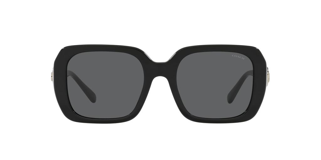 Coach HC8329U BLACK 53 Women's Sunglasses,