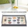 multi-color natural mineral texture mini crystal collection stones  cabinet mineral specimen layout
