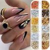 Holographic Nail Glitters Sequins 12 Grids Nail Art Flakes Nail Glitter Gold Foils  DIY Manicure