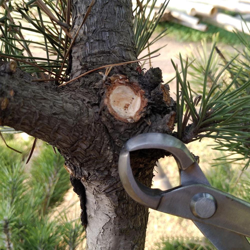 Bonsai-Schnittwerkzeug, Wurzelschneider, Edelstahl, hohe Härte, Scherkugelgelenk, Zweige, Schnittzange, Blumengartenwerkzeug