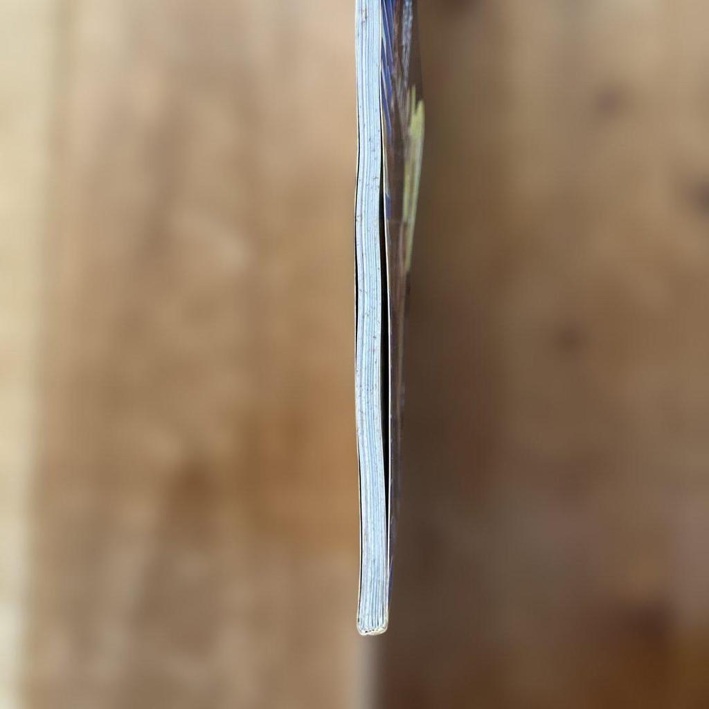 [USED] GUNS N' ROSES / Low Life In The ~ Photo Book