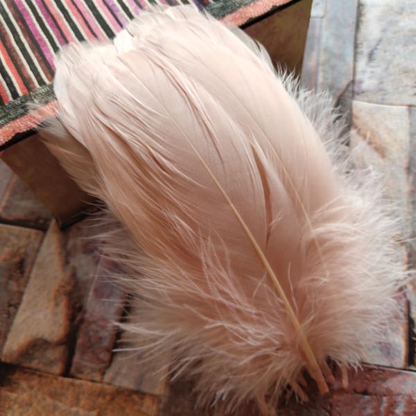 20pcs Natural Goose Feathers 31 Color Loose Goose Feathers 12-20cm Long Christmas Decoration Clothing Shoes Hat Accessories