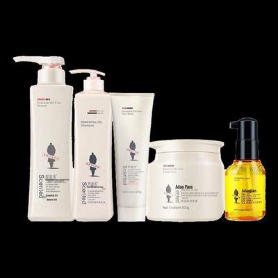Adolph Professional Repairing Hair Care Set