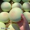 Squishy Bread Slow Rising Ball Soft Fidget Ornaments Decompression Stress Relief Gift Sensory Squeeze Ball Home Ornament