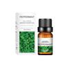 10ml Fragrance Oils Gift Box Fruit Aroma Oil For Humidifier Diffuser Candle Soap Making Air Freshener Oil