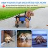 Hundewagen für Hinterbeine – Verstellbare Mobilitätshilfe für kleine Hunde, Hüftstütze & Beinschiene, Gehhilfe für behinderte Haustiere (XS/S/M)