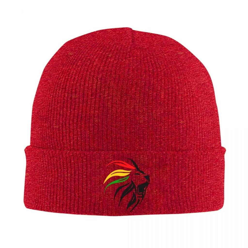 Cool Rasta Lion Of Judah Art Dreadlock Rastafari Knit Hat Beanie Autumn Winter Hats Warm Hip-hop Caps for Men Women