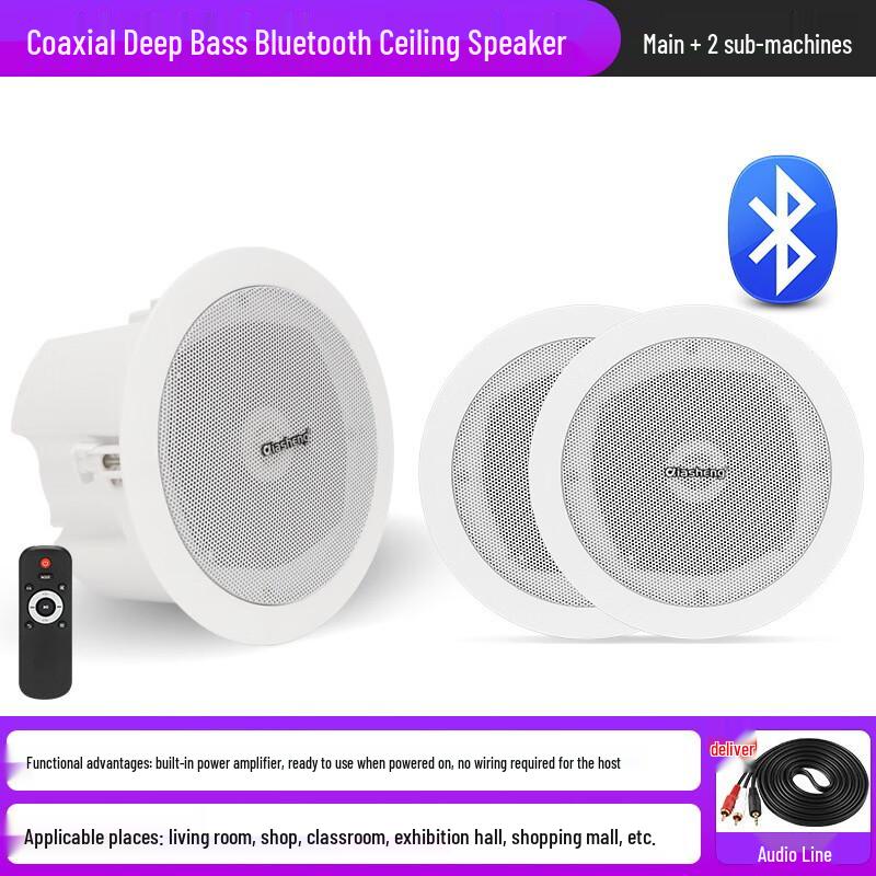 QIASHENG Commercial Bluetooth Ceiling Speaker System