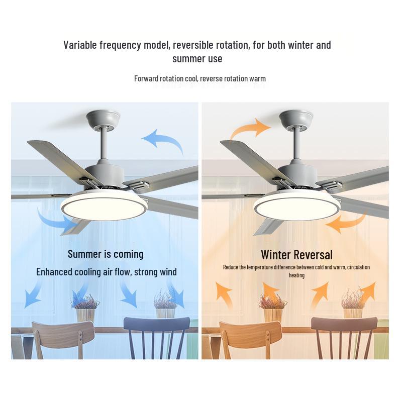 Modern Minimalist Ceiling Fan with Five Stainless Steel Blades, LED Light, Low Noise, and Frequency Conversion for Living Room or Dining Room.