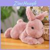 Cute Rabbit Plush Toy For Girls With Soft Pp Cotton Stuffing For Kids Room Decor