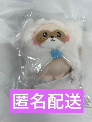 [USED] ZB1 Zeroni MINI PLUSH KEYRING Jianghao