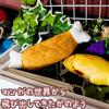 Manga Meat Plush Meat for Set of Small Dogs 5 Bone-in Pets, Durable, 17cm, 5, [Only Left]
